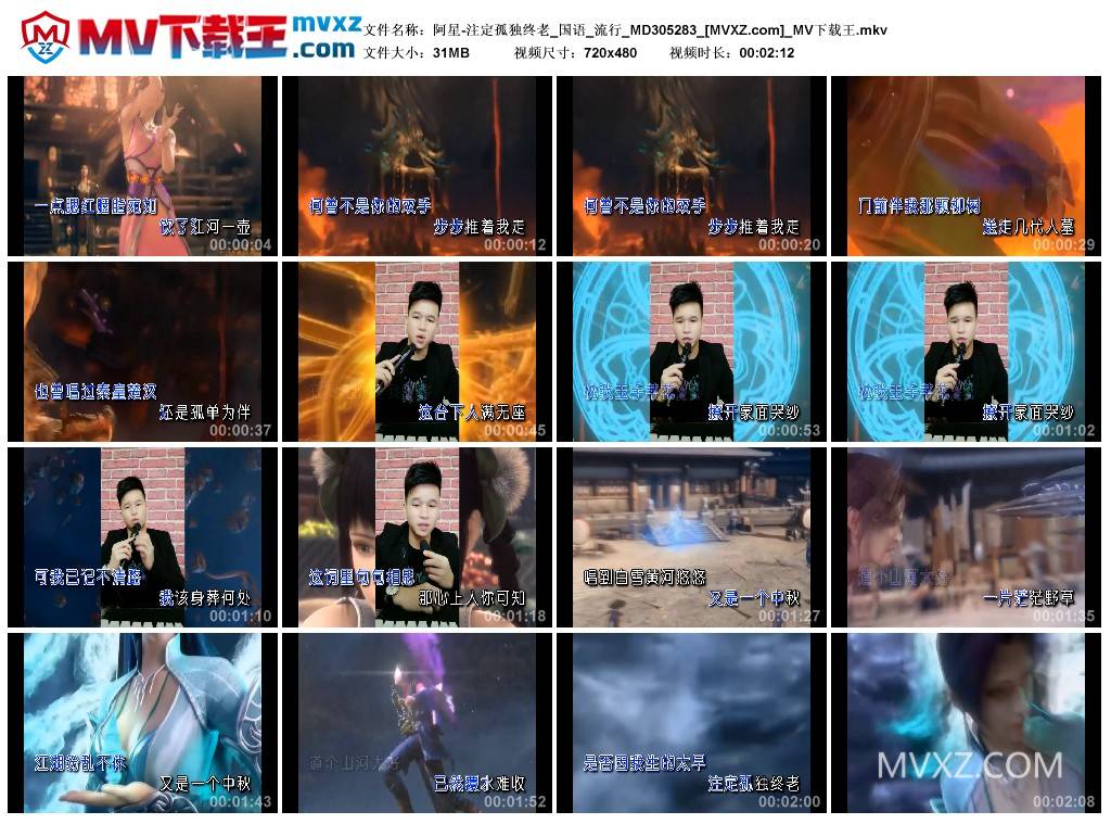 阿星-注定孤独终老_国语_流行_MD305283